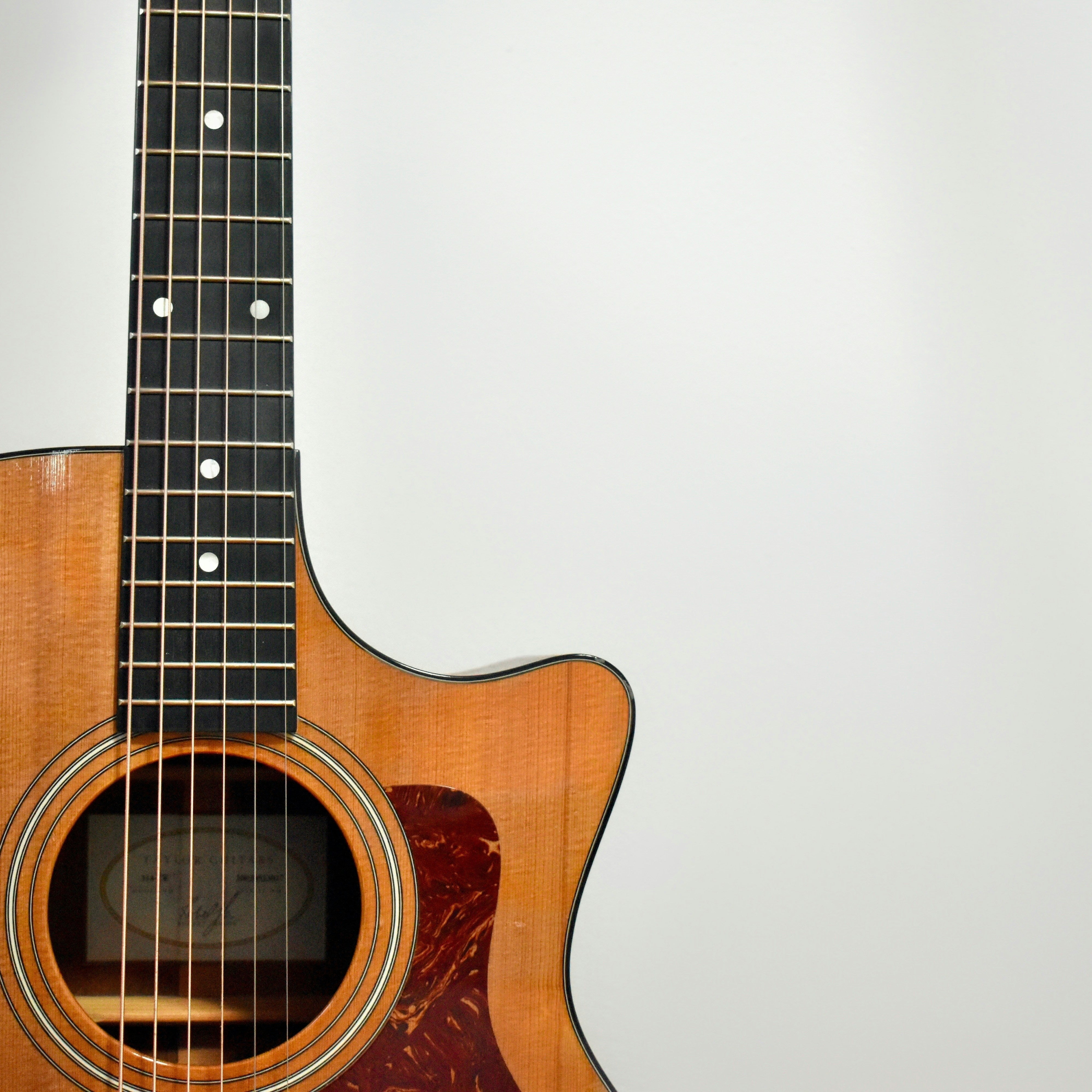 IRYW : Acoustics are Easier to Build than Electrics