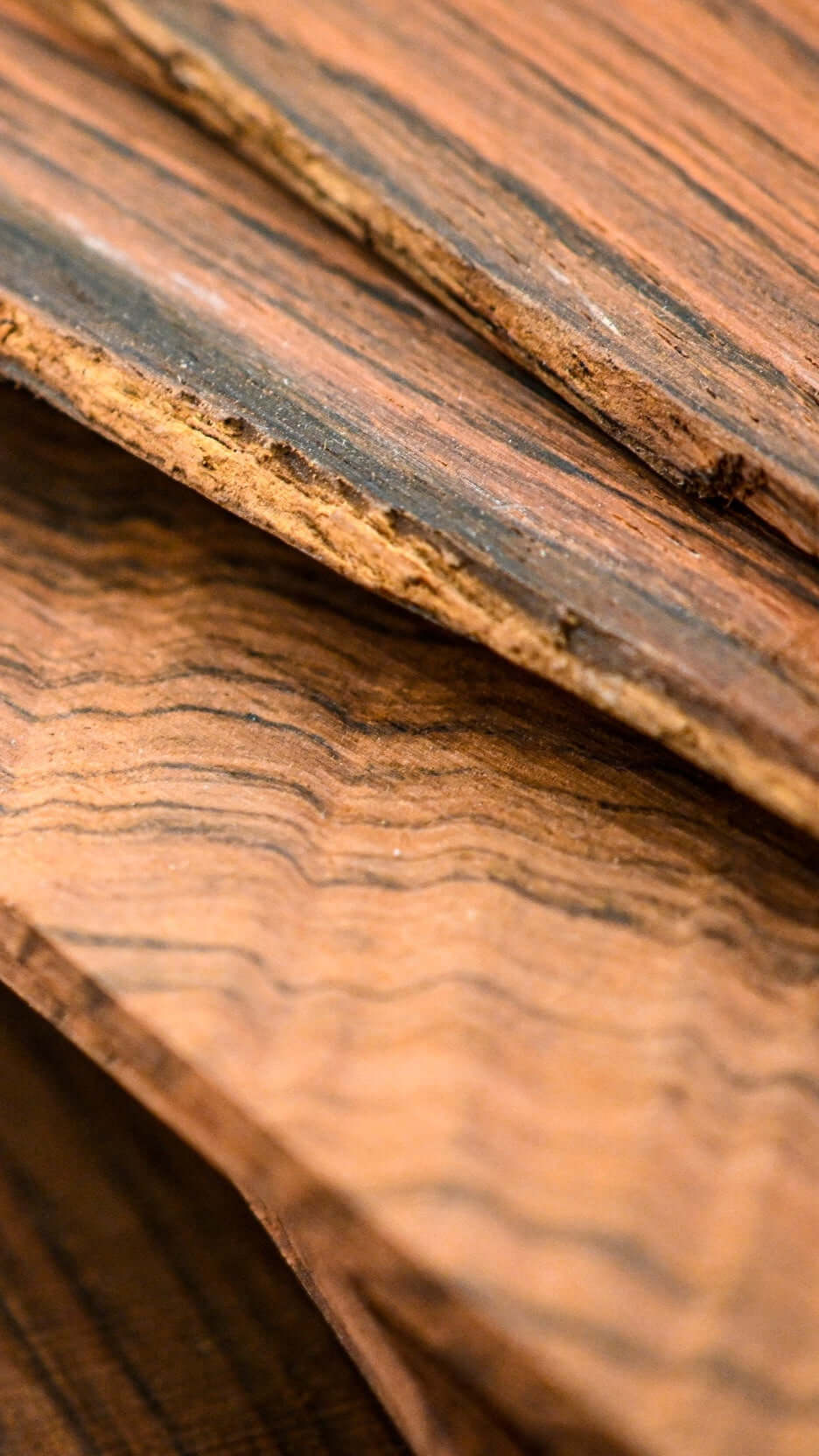 パリにあるベルフォルティ・インストゥルメンツのライブラリーに積まれた木材のクローズアップ写真