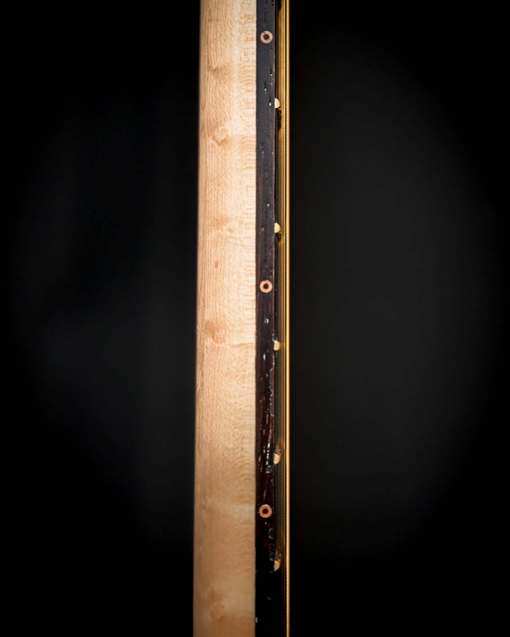 サラ6の側面図 - ベルフォルティ・インストゥルメンツ製シグネチャー・ギターネック。職人技と精密さを体現。