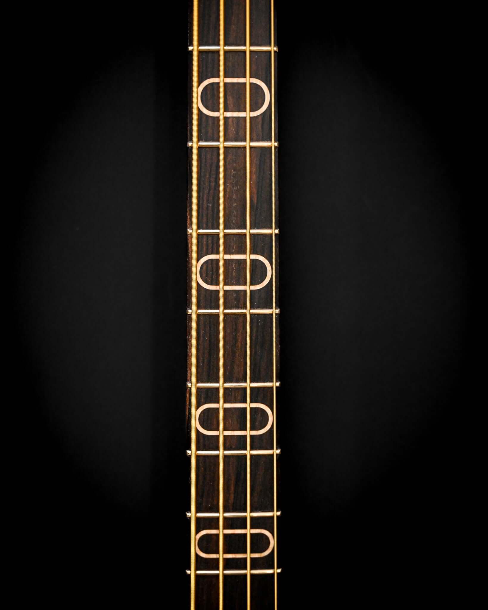 Detailed view of the fretboard on the S1 Ziricote, focusing on the inlay and smooth craftsmanship.
