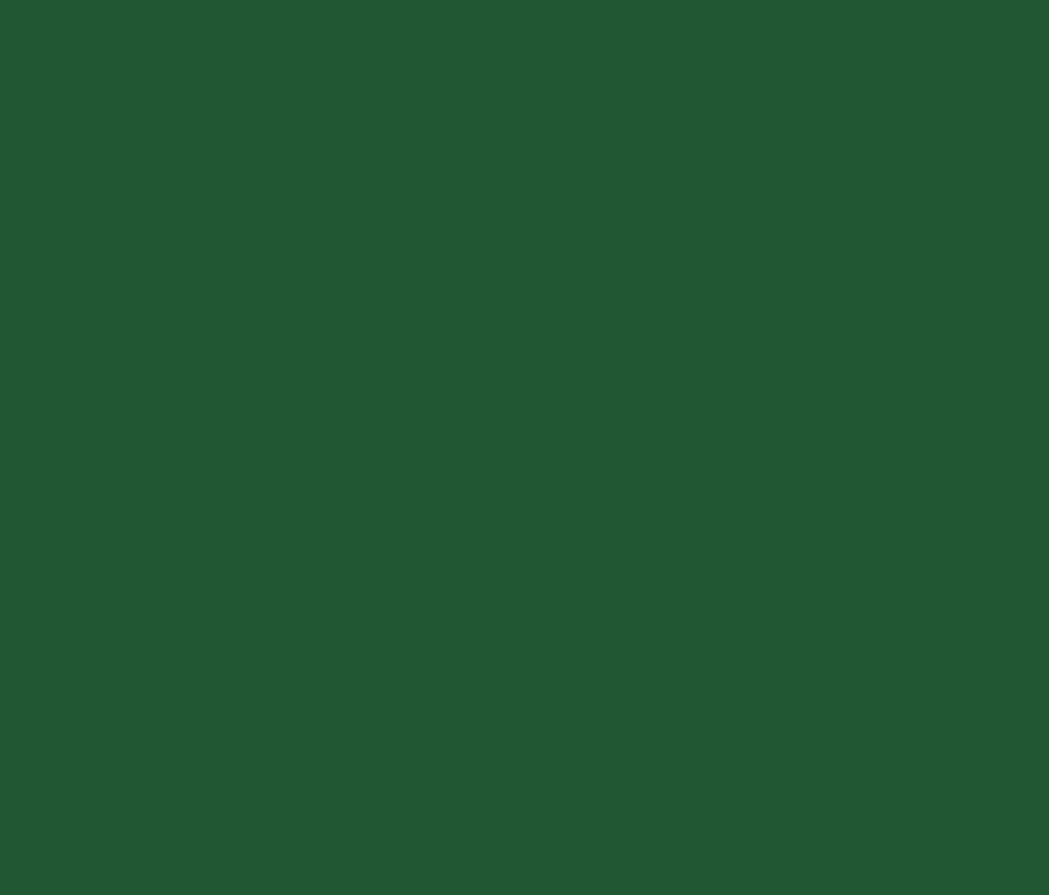 La couleur personnalisée Cedar Green de Belforti Instruments pour le Liban