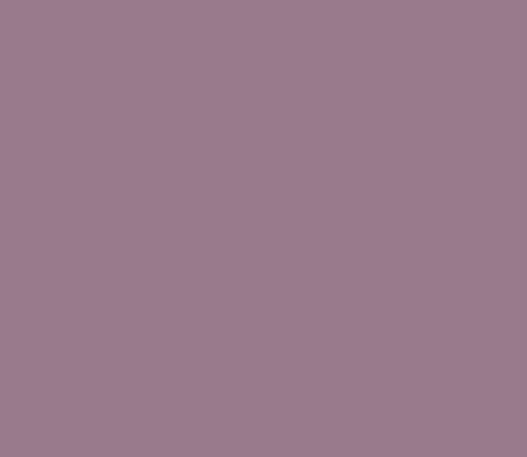 La couleur de peinture Mountbatten Rose personnalisée de Belforti Instruments