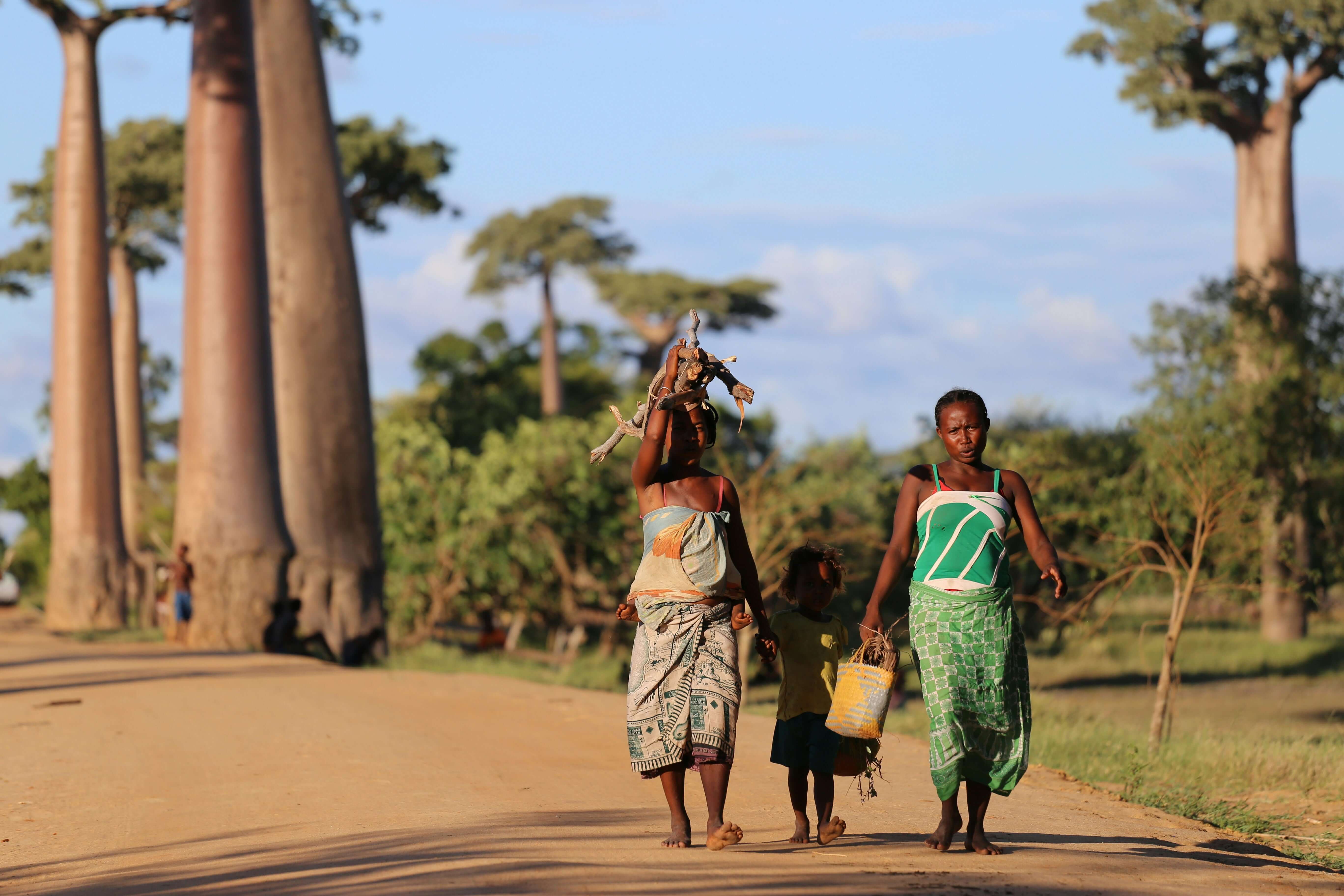 Dos mujeres y un niño caminando por un sendero en Madagascar, junto a baobabs