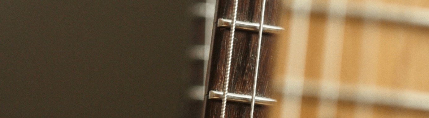 Gros plan sur le bord d'une touche avec les extrémités des frettes et les cordes