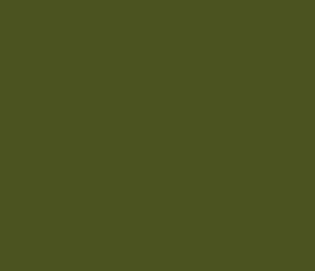 Belforti Instruments의 Aged Kalamata Olive 커스텀 페인트 컬러
