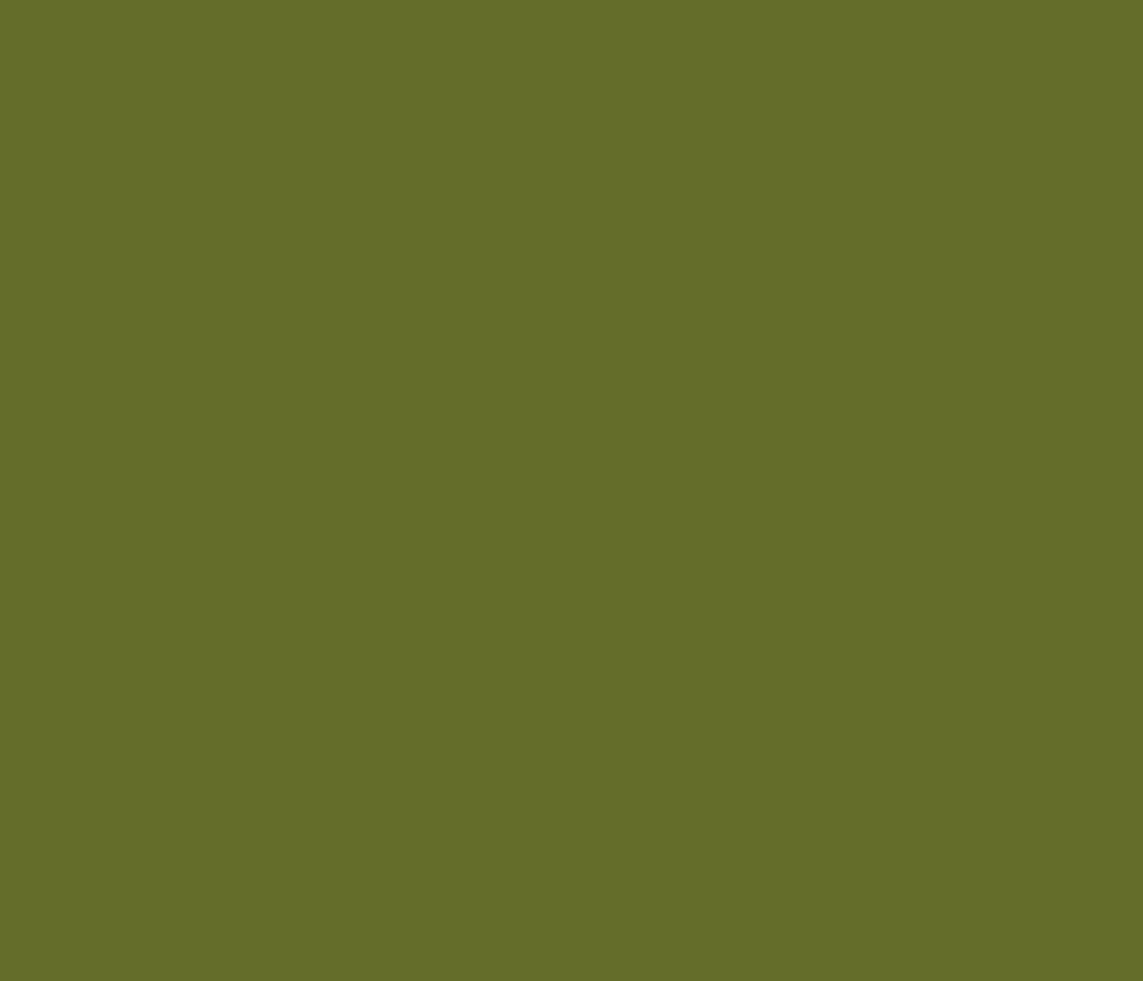 Belforti Instruments의 Kalamata Olive 맞춤 페인트 색상