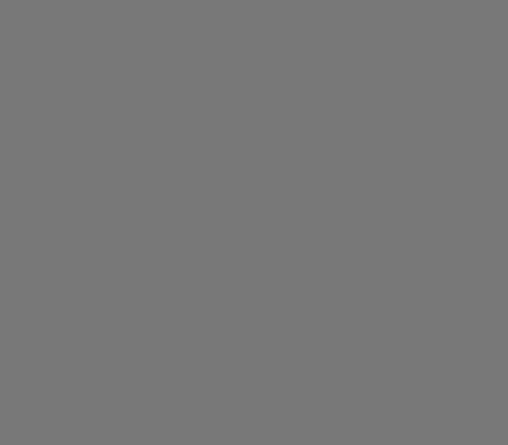 Belforti Instruments의 Sovietic Grey 맞춤 페인트 색상