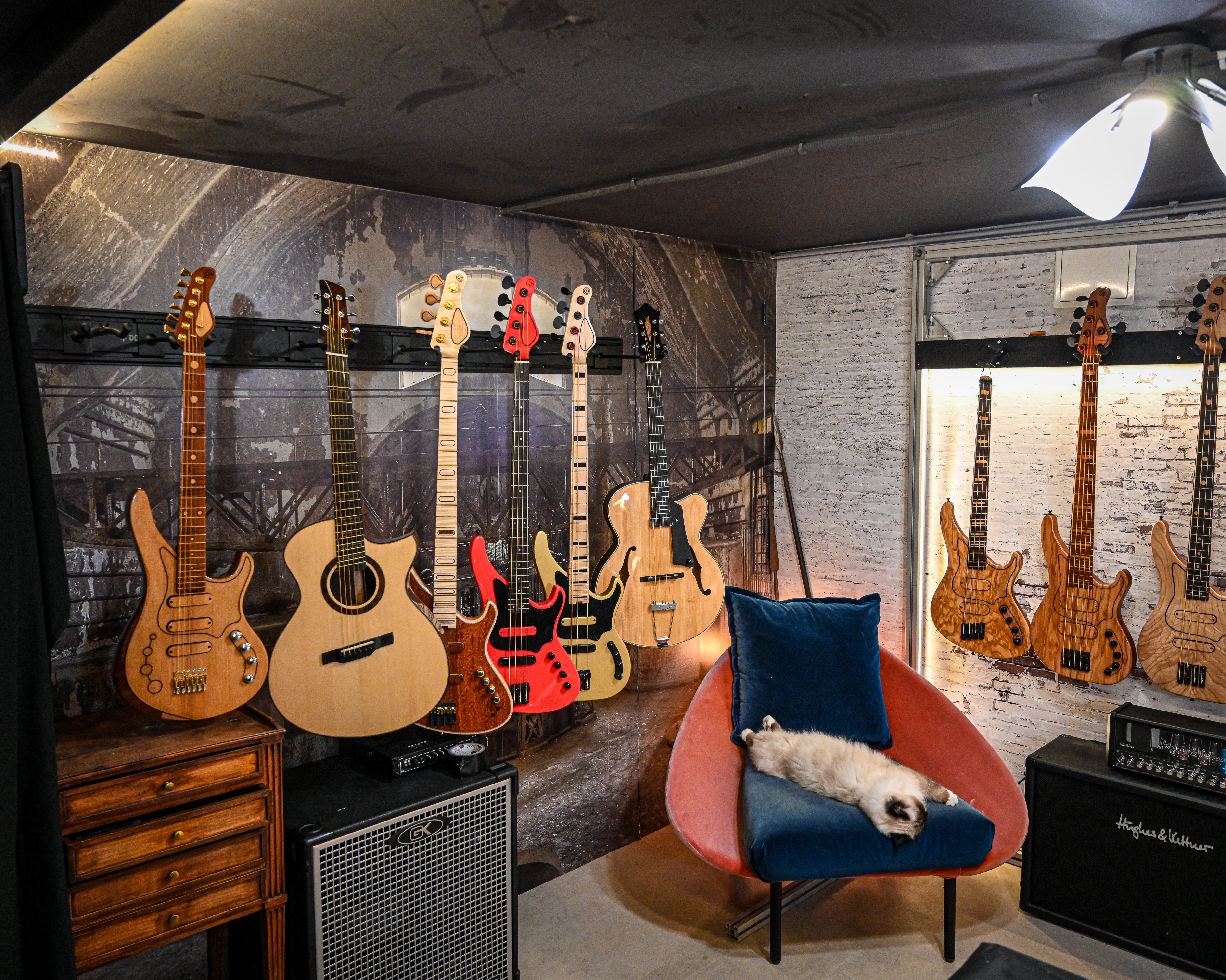 벨포르티 쇼룸에는 스탠드 위에 다양한 일렉트릭 기타와 어쿠스틱 기타가 진열되어 있고, 아늑한 의자에는 고양이가 앉아 있으며, 세련된 벽면에는 앰프들이 놓여 있습니다.