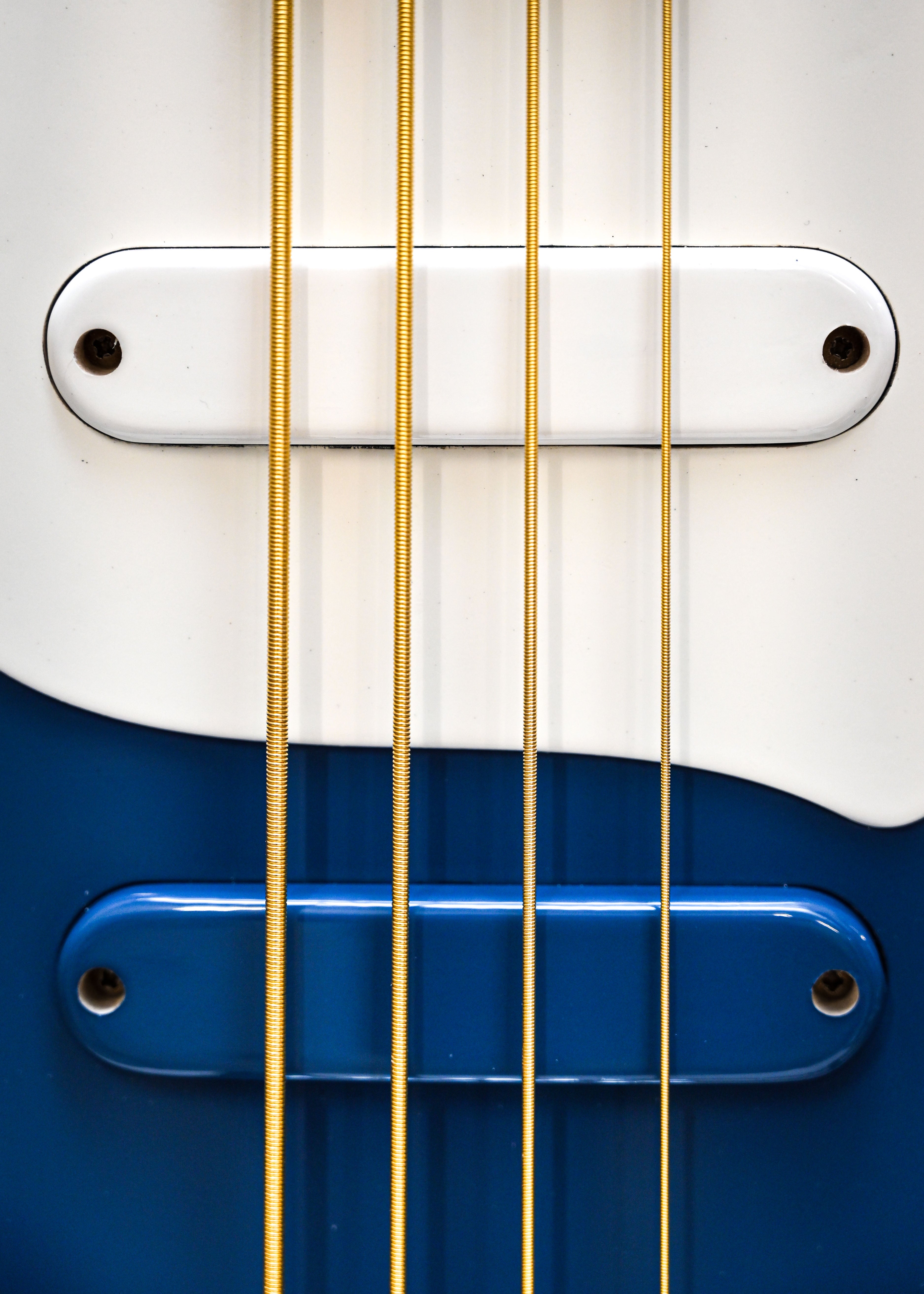 Close view of two Belforti Pickups mounted on a E1 Bass, with the apennines bardiglio blue and alpine snow white paints