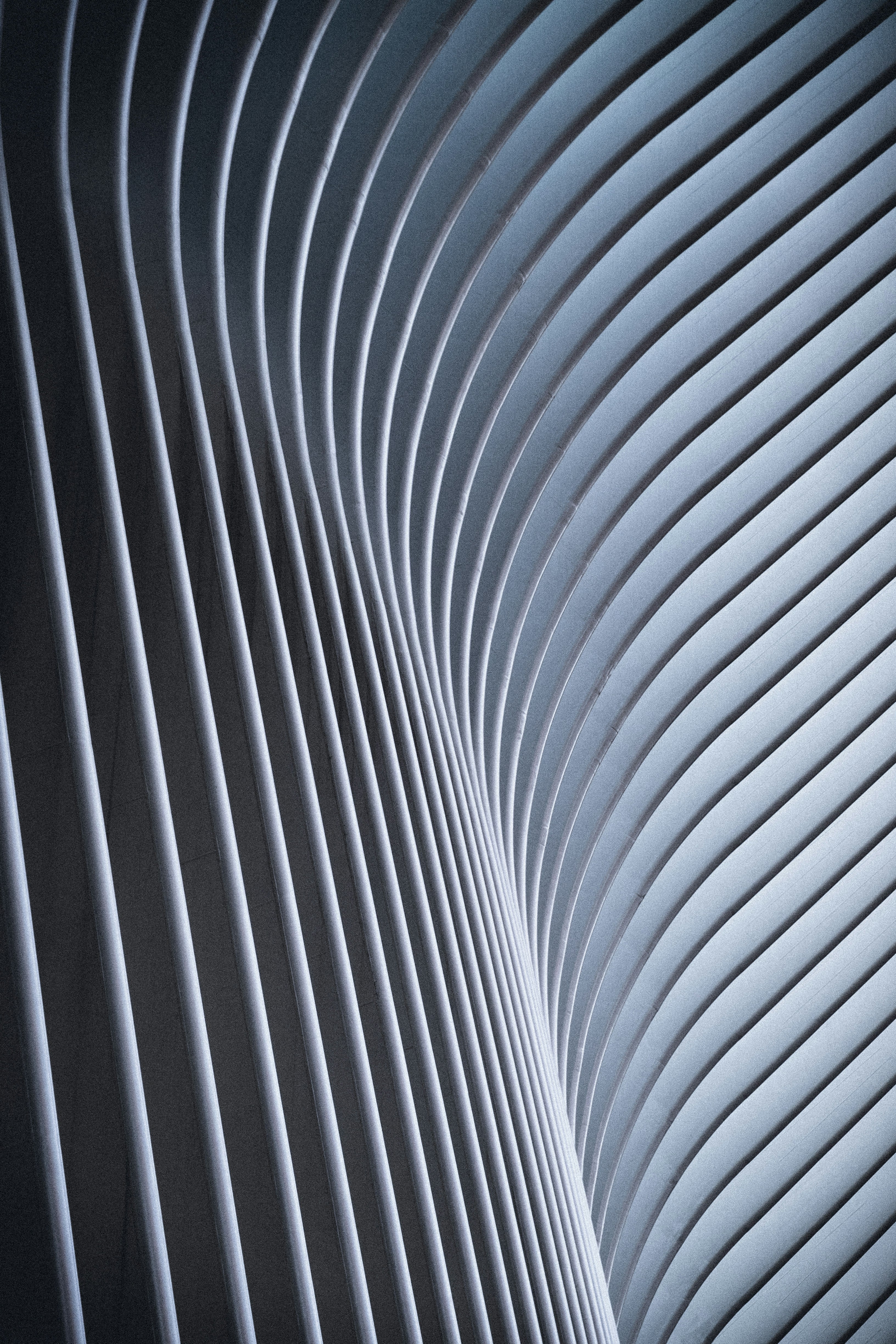 Intricate architectural motifs and curves