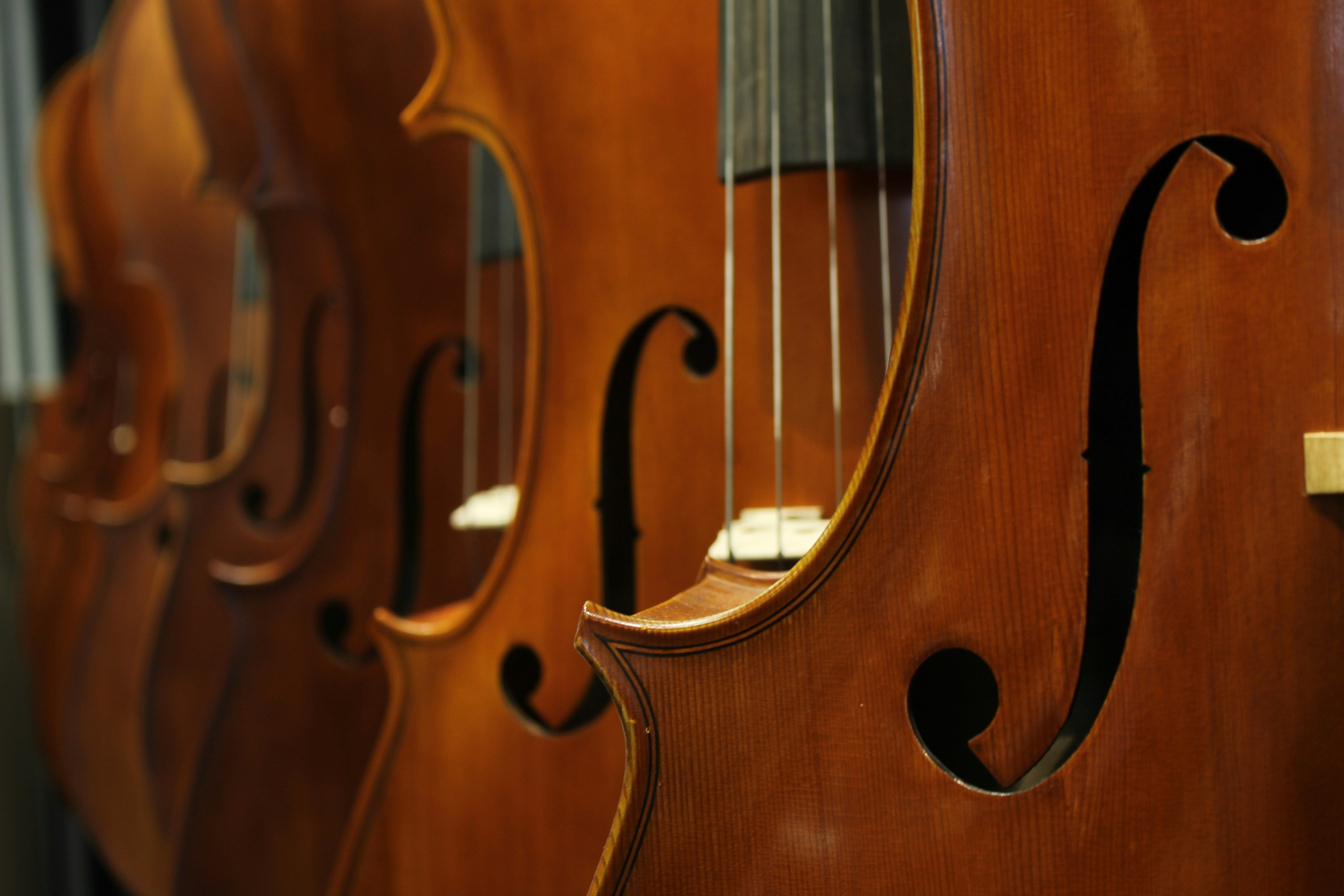Close shot of violins F holes