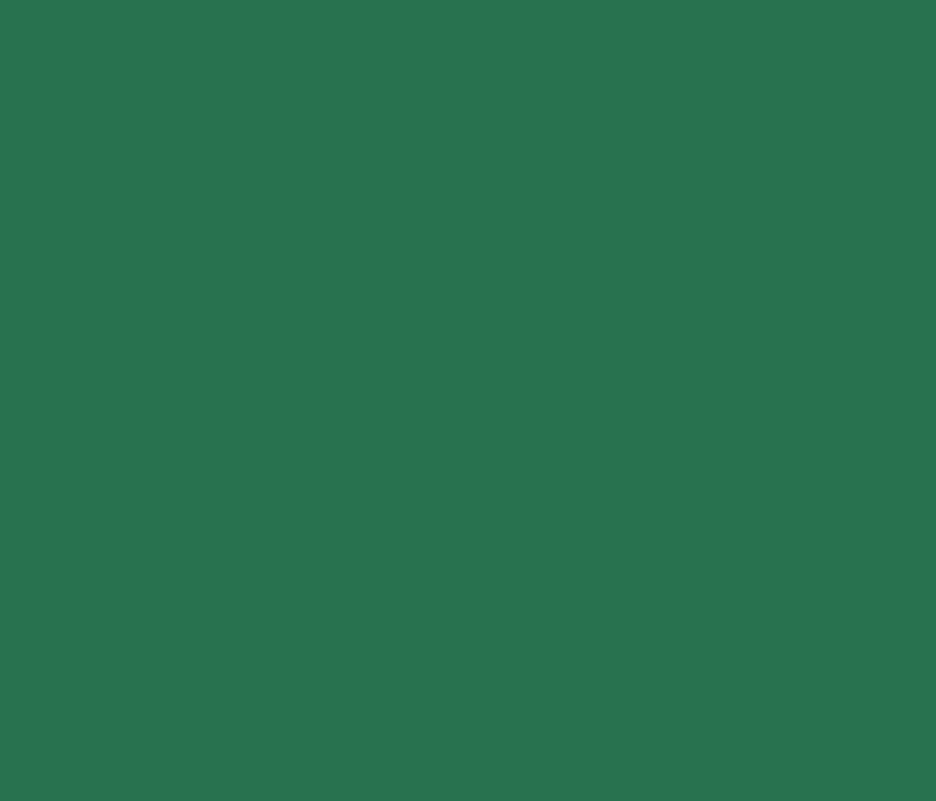 Die Sonderfarbe Stelvio Larch von Belforti Instruments