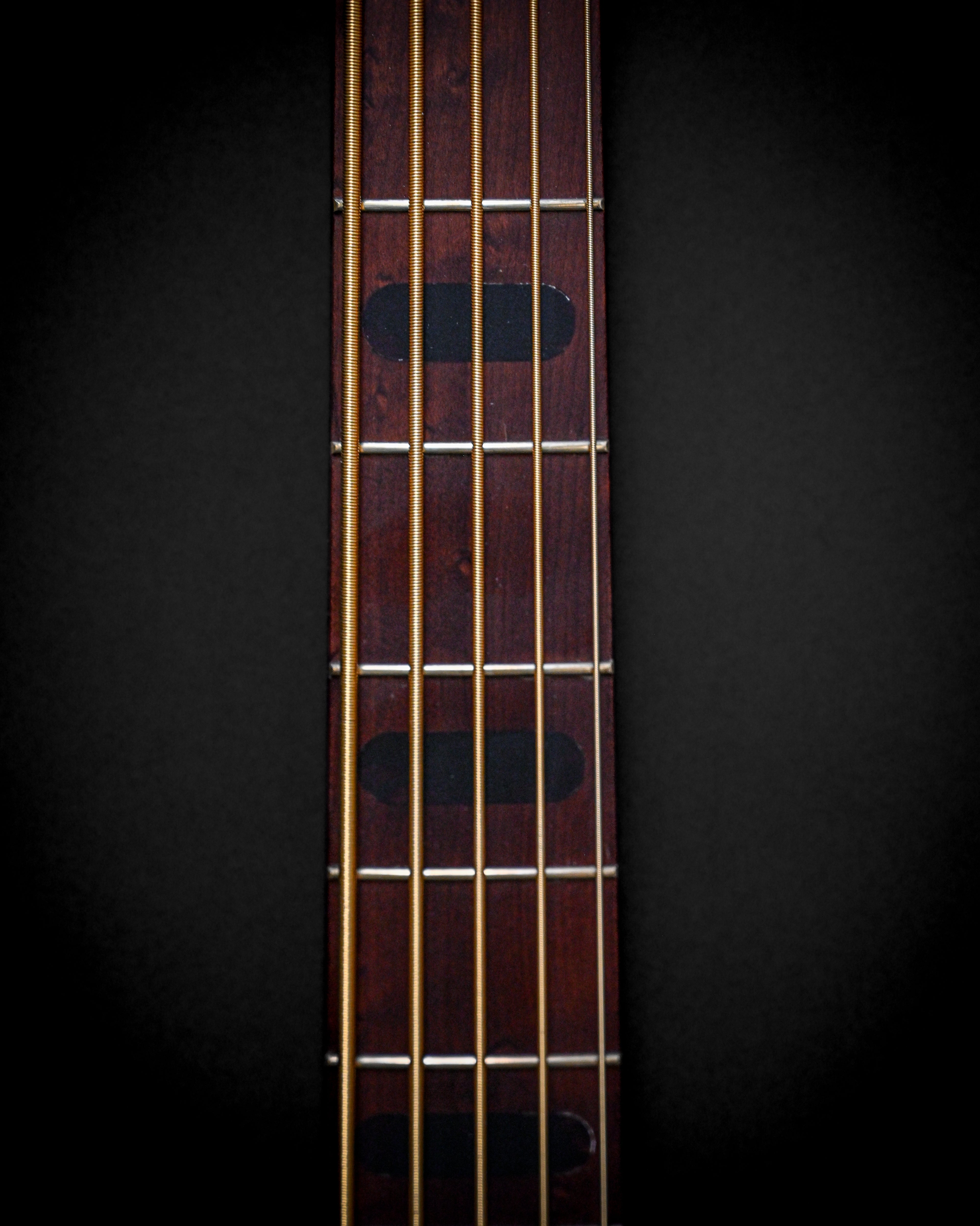 Gros plan d'un manche de guitare basse en bois avec quatre cordes et des frettes sur un fond sombre.